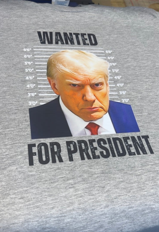 Wanted for President T-Shirt