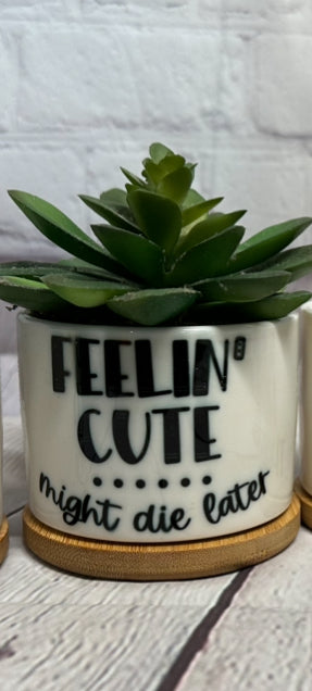 Feeling cute might due later succulent pot